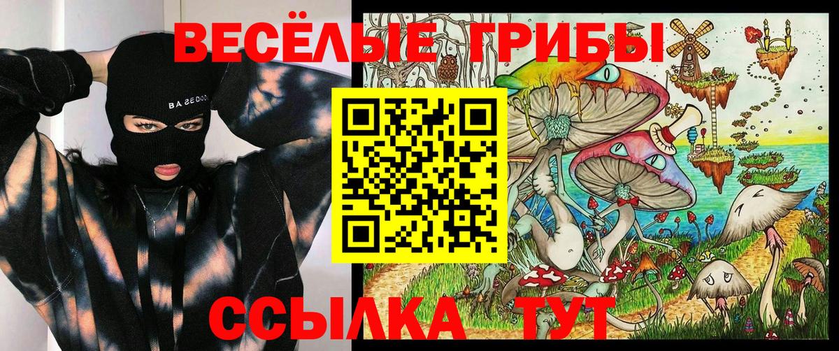 Галлюциногенные грибы Magic Shrooms Алексеевка